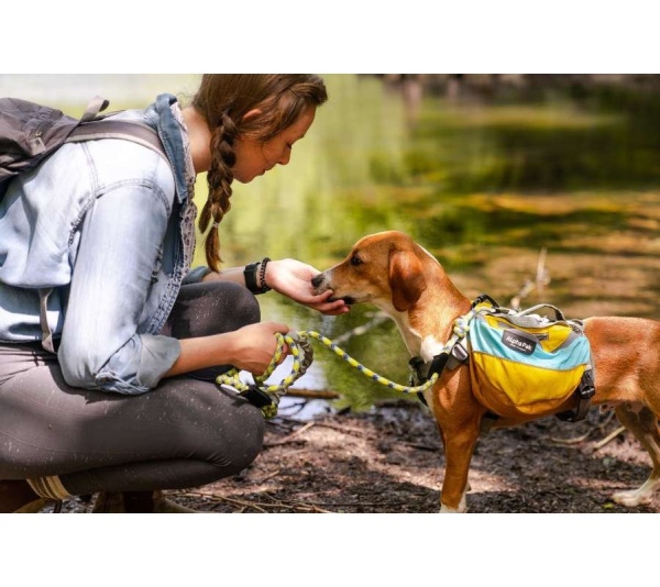 Junction 10MM Kernmantle Rope Leash - 30 inches