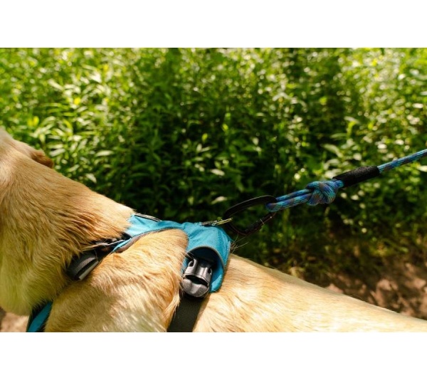 Massif 10MM Kernmantle Rope Leash - 30 inches