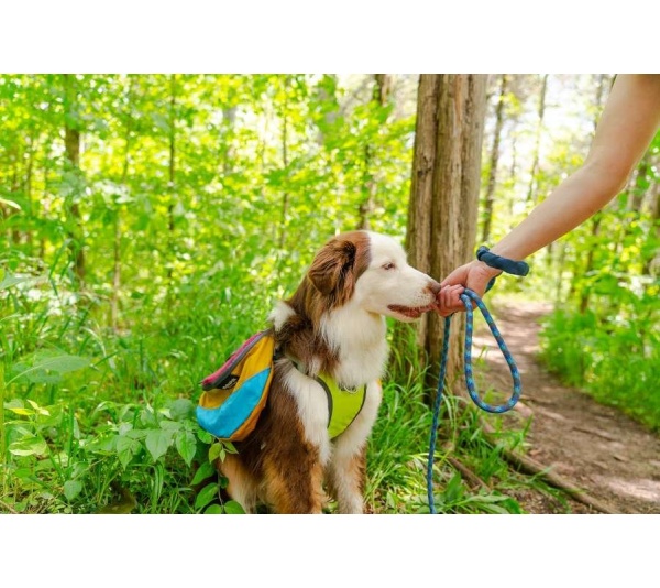 Massif 10MM Kernmantle Rope Leash - 30 inches