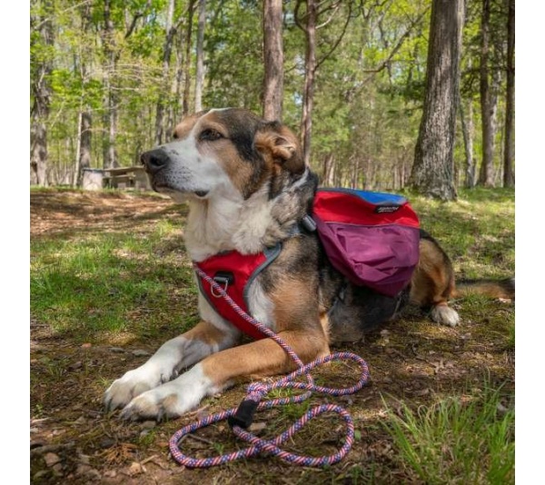 Patriot 7MM Kernmantle Rope Leash - 6 feet