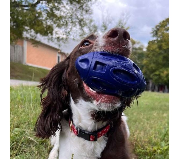Chewie Squeak Rubber Football