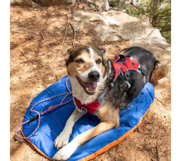 Eclipse Blue Compressible Waterproof Dog Sleeping Mat - Eclipse Blue Sleeping Mat
