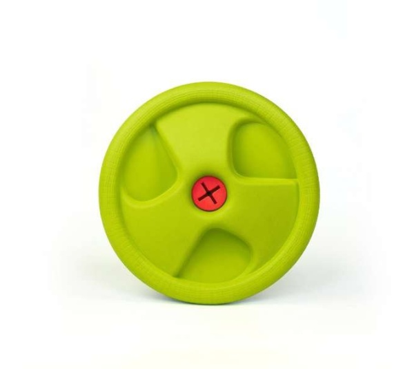 Harley Flyer Frisbee