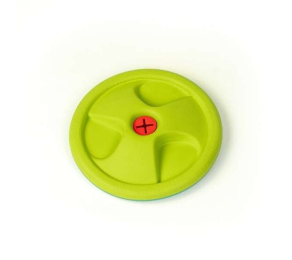 Harley Flyer Frisbee