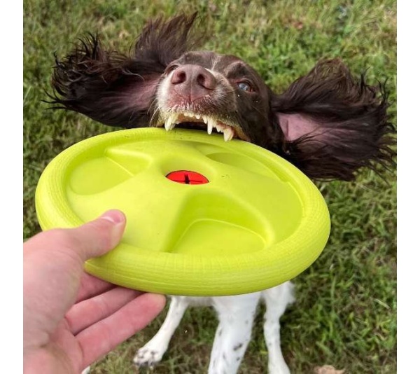 Harley Flyer Frisbee