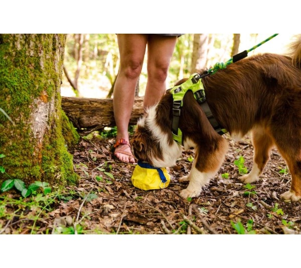 Yellow Collapsible Bowl - Gallatin Lightweight Collapsible Dog Bowl