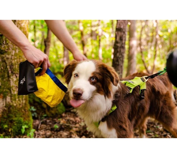 Yellow Collapsible Bowl - Gallatin Lightweight Collapsible Dog Bowl