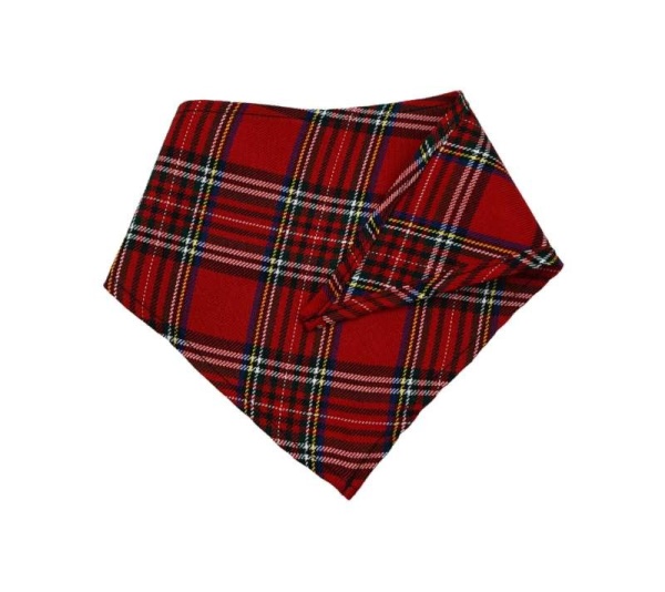 GG142FB|Pets Ribbons - X-Large