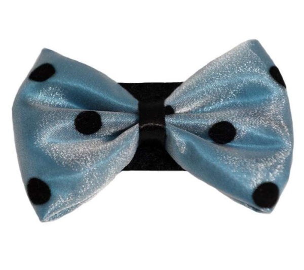 4 - PR1001|Pets Ribbons - 2"