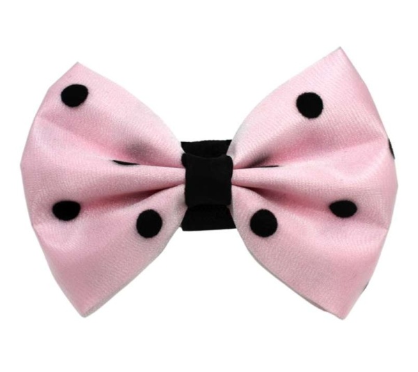 2 - PR1001|Pets Ribbons - 5"