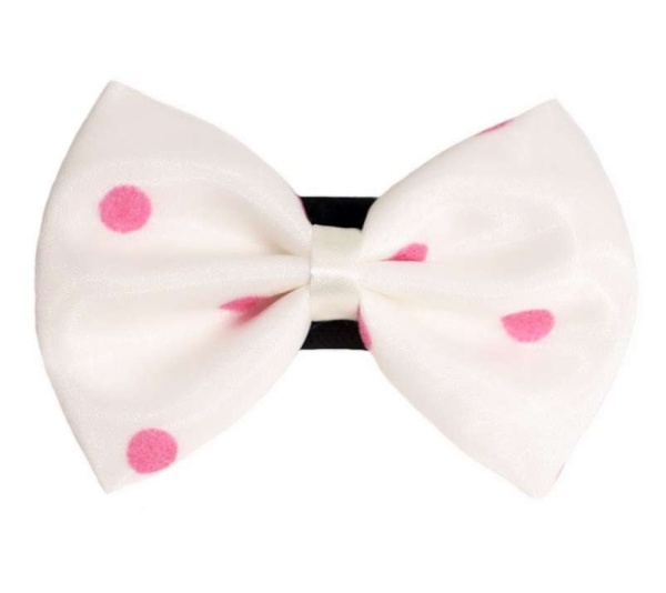 7 - PR1001|Pets Ribbons - 3"