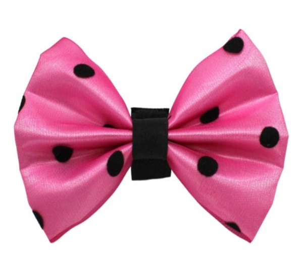 1 - PR1001|Pets Ribbons - 6"