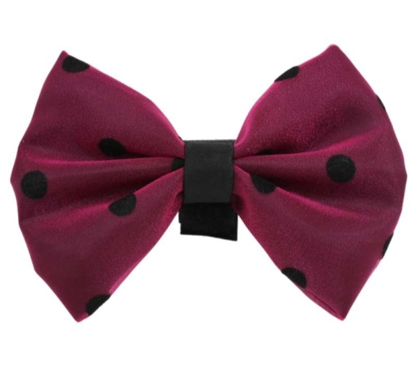 8 - PR1001|Pets Ribbons - 6"