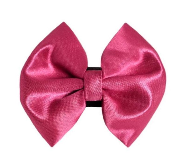 2 - PR3000|Pets Ribbons - 2"