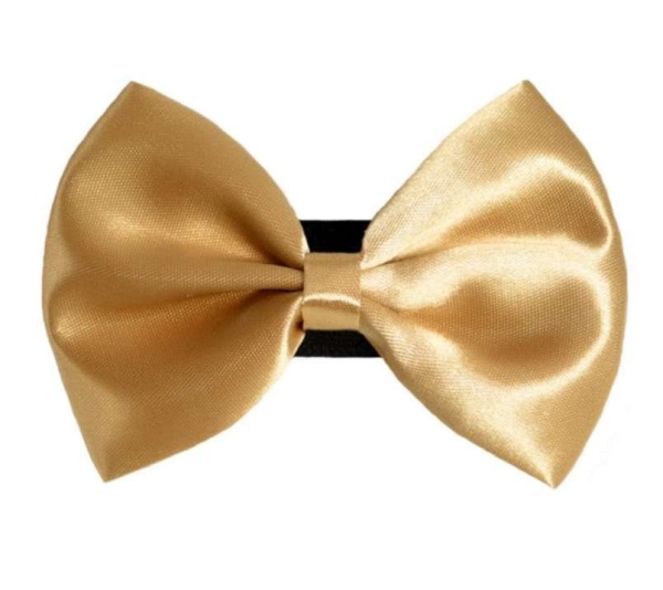 4 - PR3000|Pets Ribbons - 2"