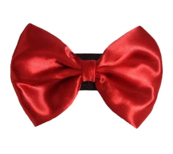 7 - PR3000|Pets Ribbons - 3"