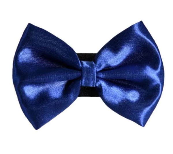 8 - PR3000|Pets Ribbons - 2"