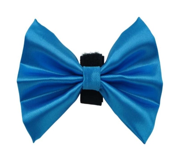 1 - PR3000|Pets Ribbons - 5"