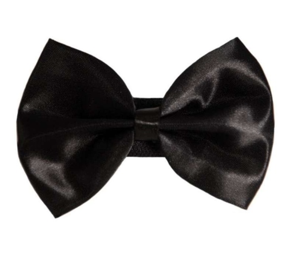 3 - PR3000|Pets Ribbons - 4"