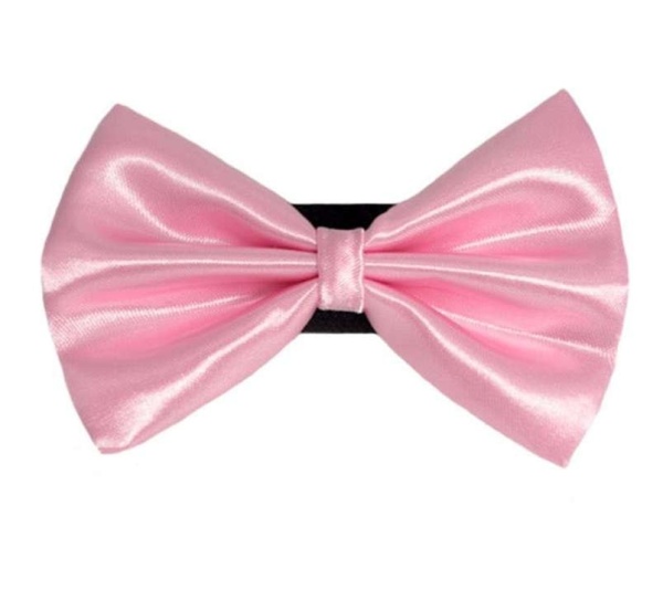 6 - PR3000|Pets Ribbons - 4"