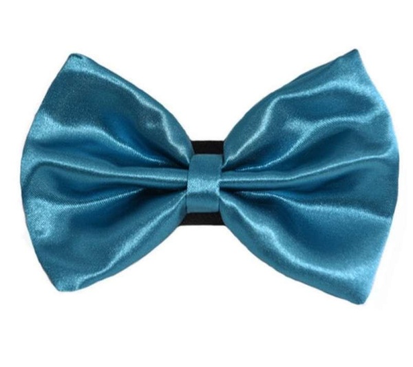 1 - PR3000|Pets Ribbons - 6"