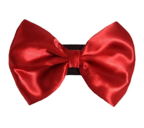 7 - PR3000|Pets Ribbons - 6"
