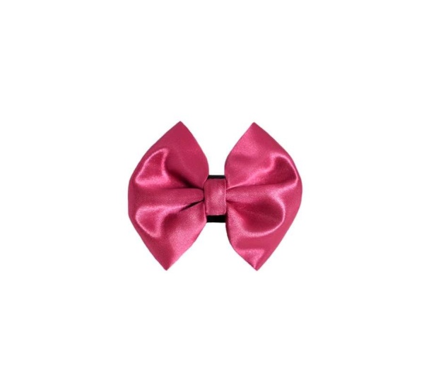 6 - PR3000|Pets Ribbons