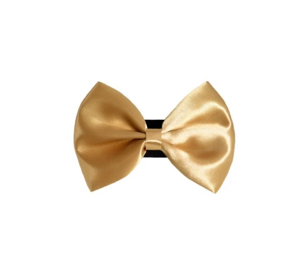 7 - PR3000|Pets Ribbons