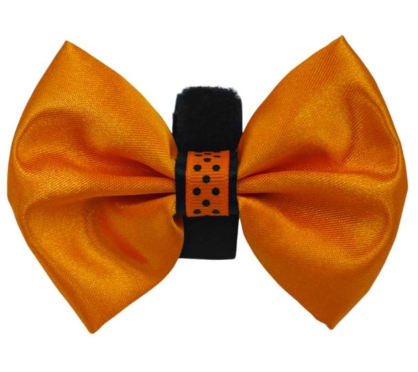 Orange - PR3000HD|Pets Ribbons - 2"