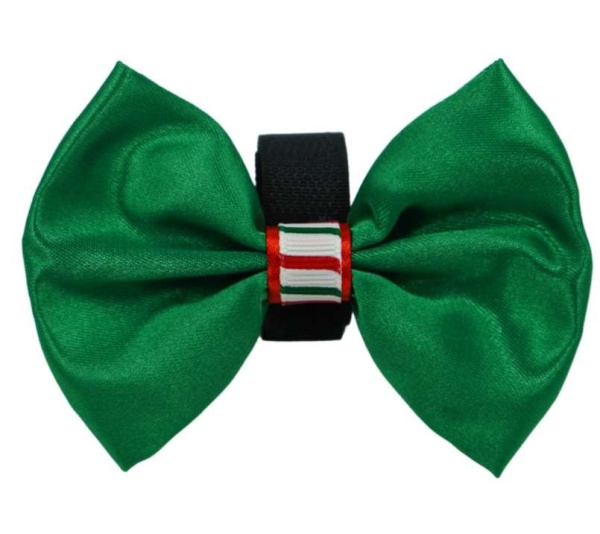 Green - PR3000XCS|Pets Ribbons - 2"