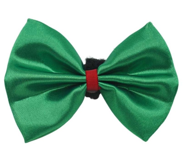 Green - PR3000X|Pets Ribbons - 5"