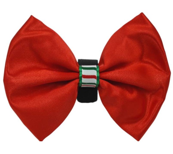 Red - PR3000XCS|Pets Ribbons - 2"