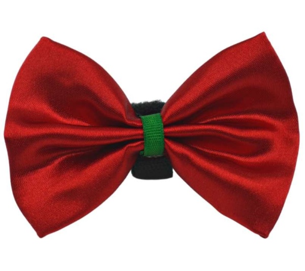 Red - PR3000X|Pets Ribbons - 4"