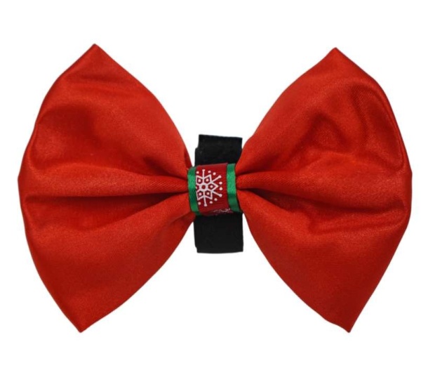 Red - PR3000XSF|Pets Ribbons - 5"