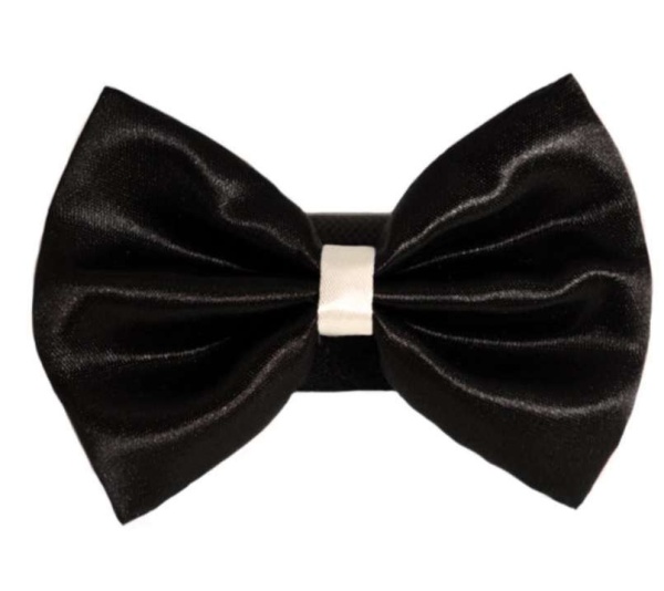 2 - PR3001|Pets Ribbons - 3"