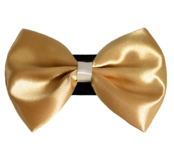 3 - PR3001|Pets Ribbons - 2"