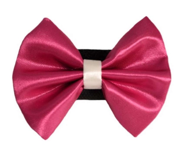 4 - PR3001|Pets Ribbons - 2"