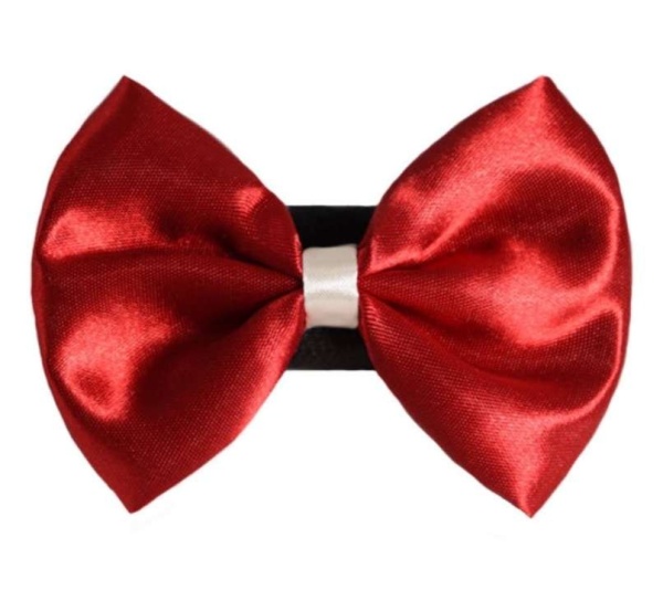 7 - PR3001|Pets Ribbons - 2"