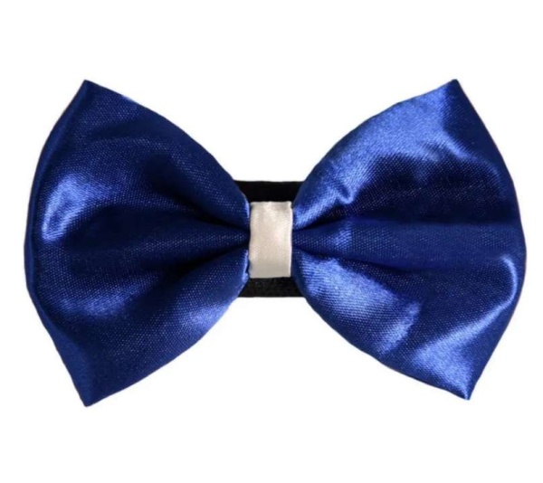 8 - PR3001|Pets Ribbons - 2"