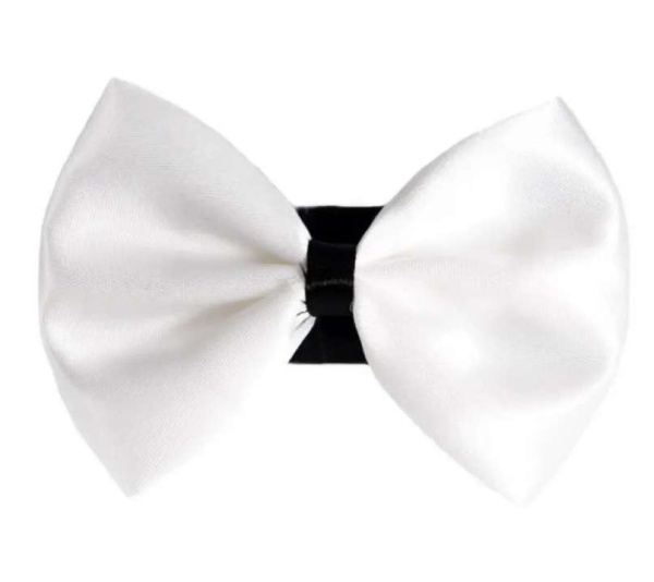 9 - PR3001|Pets Ribbons - 2"