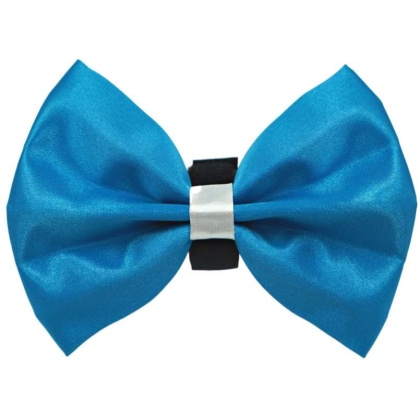 1 - PR3001|Pets Ribbons - 4"