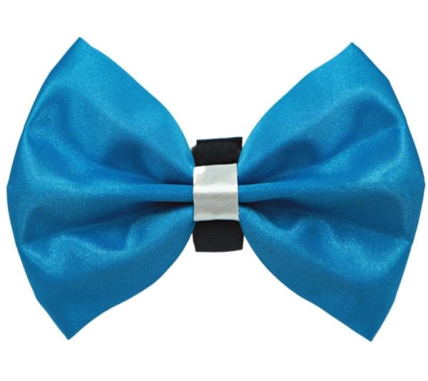 1 - PR3001|Pets Ribbons - 4"