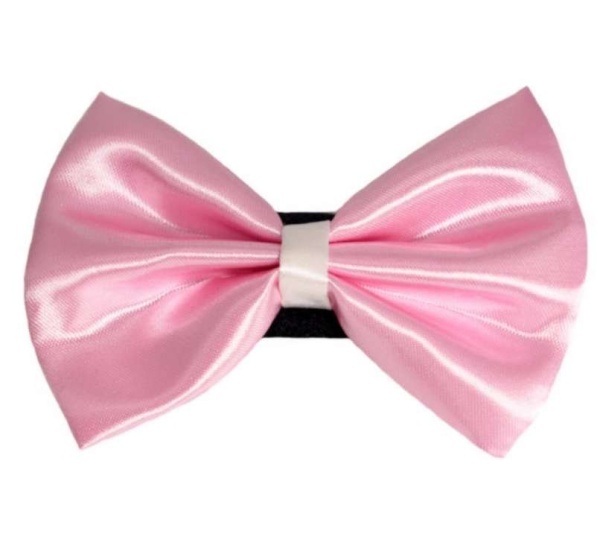 6 - PR3001|Pets Ribbons - 5"