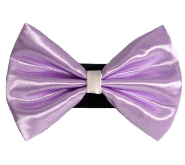 5 - PR3001|Pets Ribbons - 6"