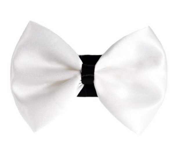 9 - PR3001|Pets Ribbons - 5"