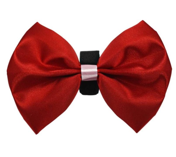 Red-Pink - PR3001VA|Pets Ribbons - 3"