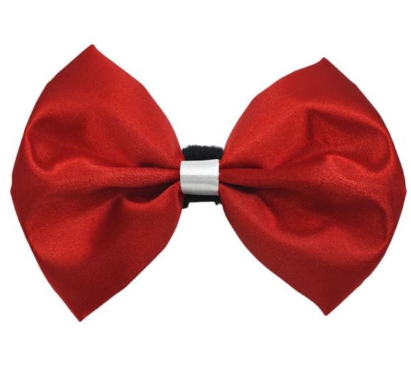 Red-White - PR3001VA|Pets Ribbons - 3"