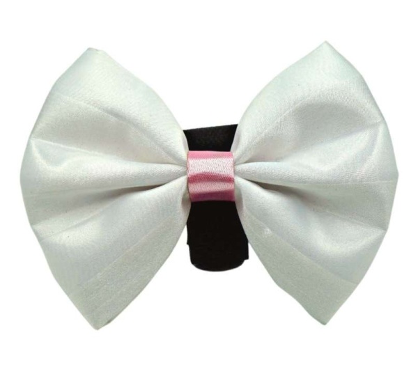White-Pink - PR3001VA|Pets Ribbons - 2"