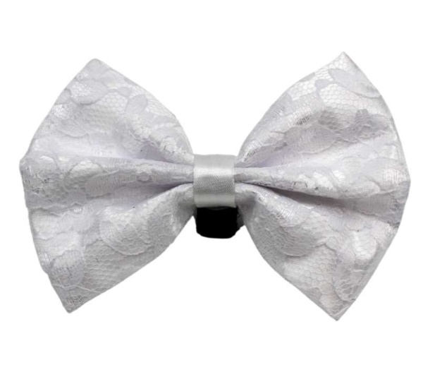 1 - PR3002|Pets Ribbons - 4"