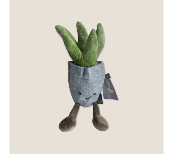 NANDOG My BFF Succulent Pot
